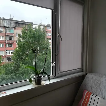 Angela's House 索菲亞