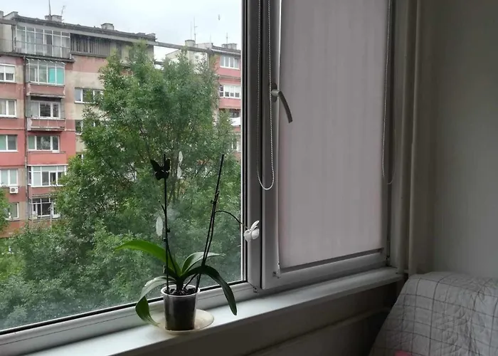 Angela's House Σόφια